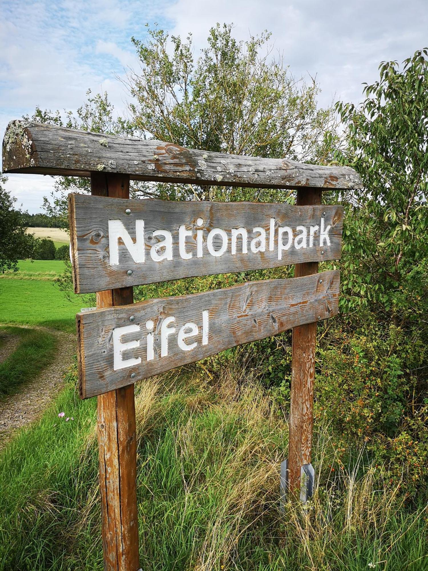 Ferienwohnung In Waldrandlage In Nationalpark Schleiden / Eifel المظهر الخارجي الصورة