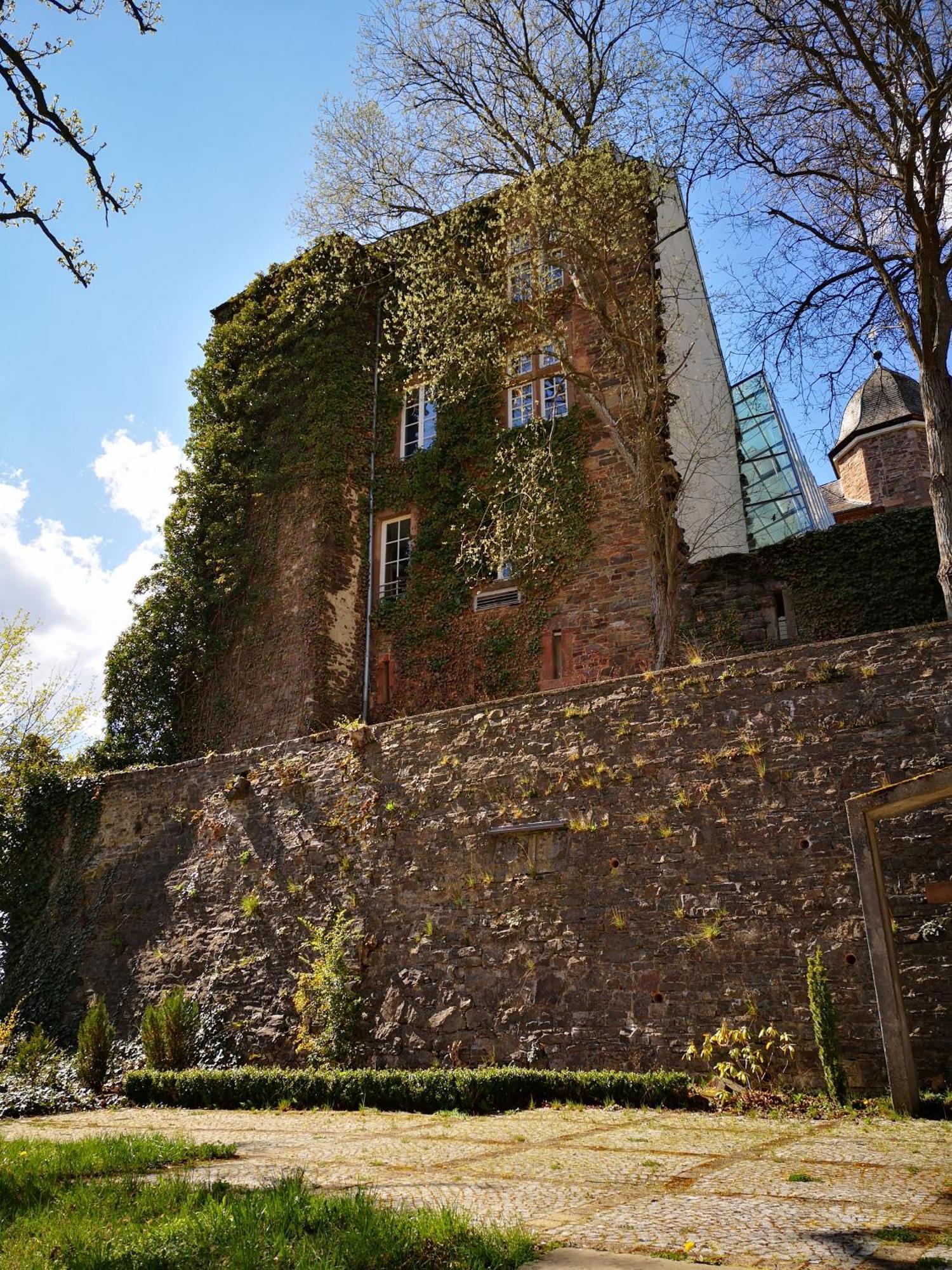 Ferienwohnung In Waldrandlage In Nationalpark Schleiden / Eifel المظهر الخارجي الصورة