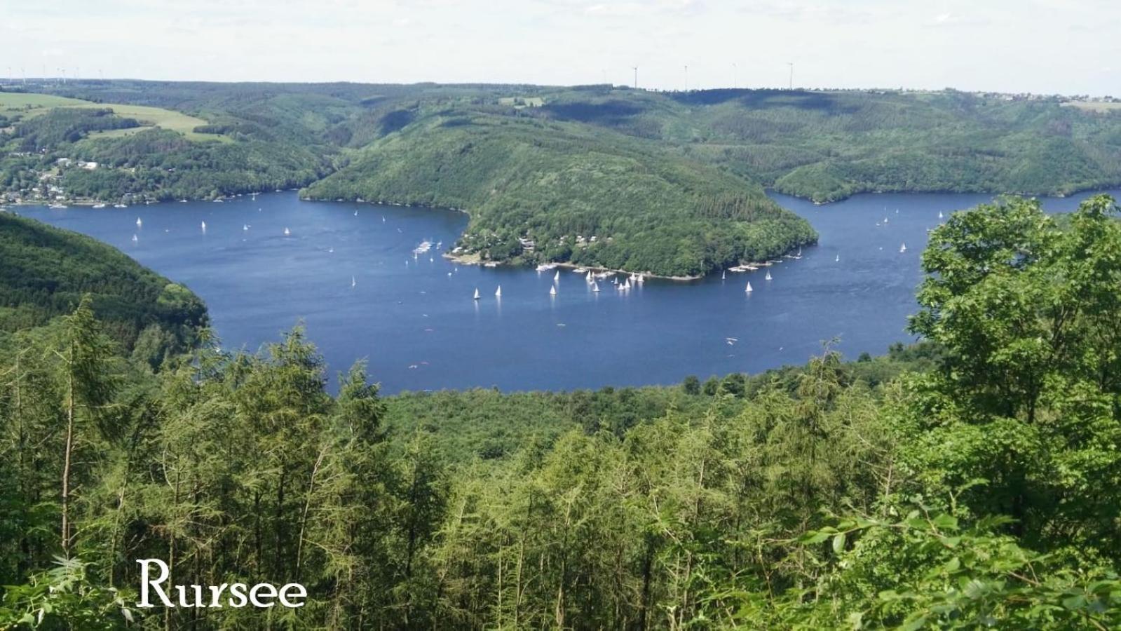 Ferienwohnung In Waldrandlage In Nationalpark Schleiden / Eifel المظهر الخارجي الصورة