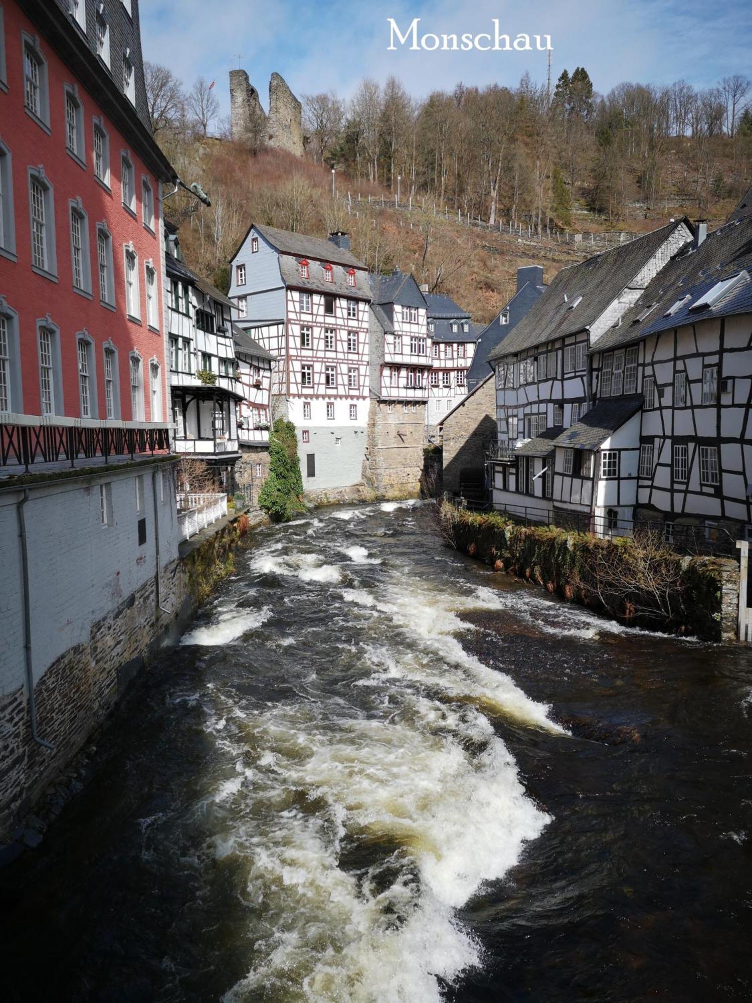 Ferienwohnung In Waldrandlage In Nationalpark Schleiden / Eifel المظهر الخارجي الصورة