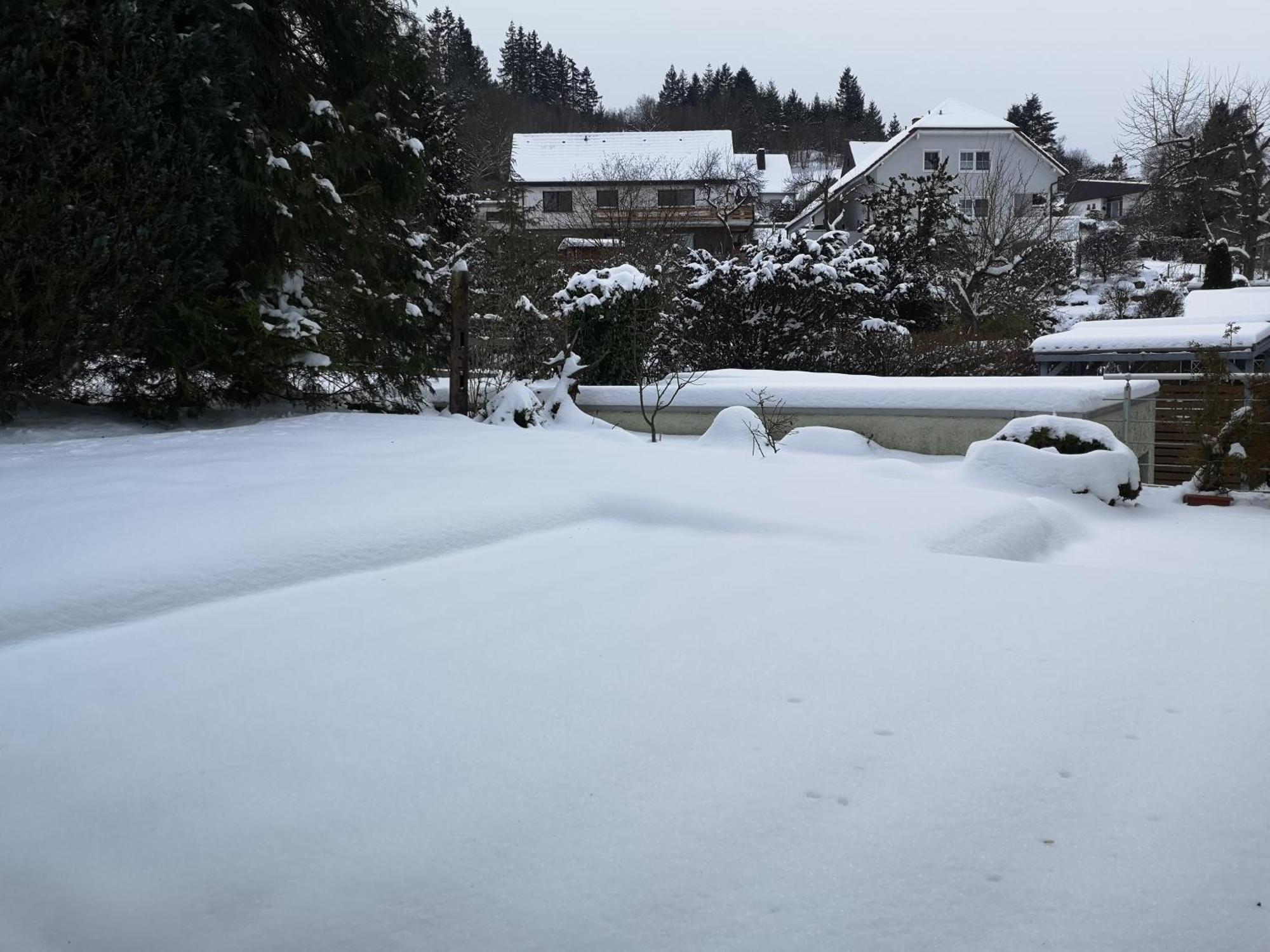 Ferienwohnung In Waldrandlage In Nationalpark Schleiden / Eifel المظهر الخارجي الصورة