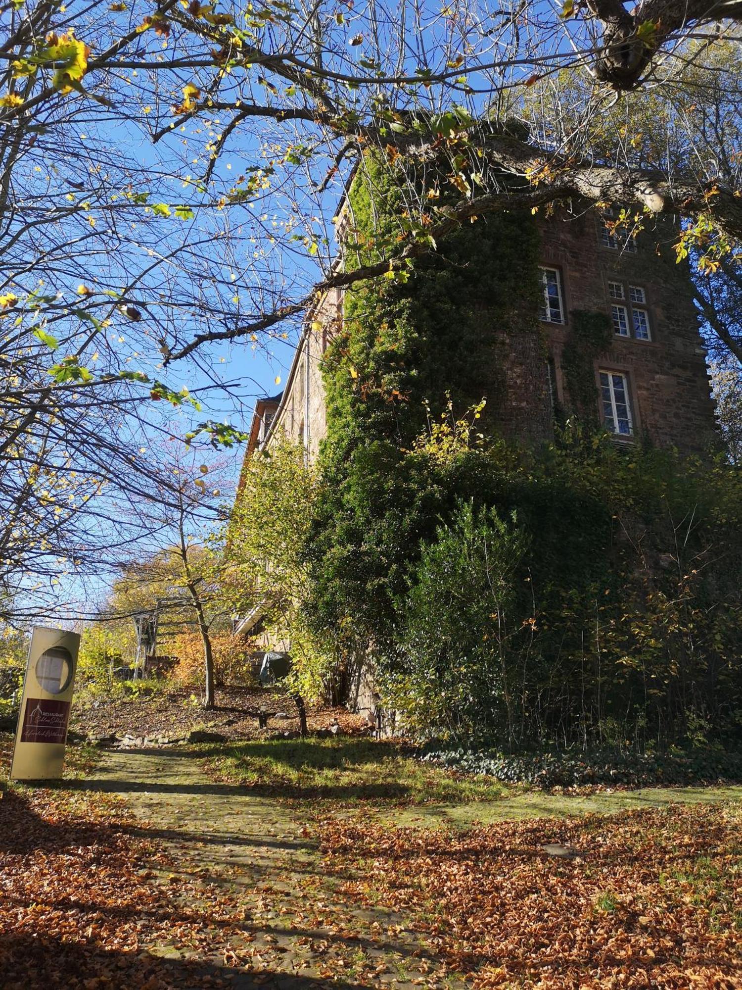 Ferienwohnung In Waldrandlage In Nationalpark Schleiden / Eifel المظهر الخارجي الصورة