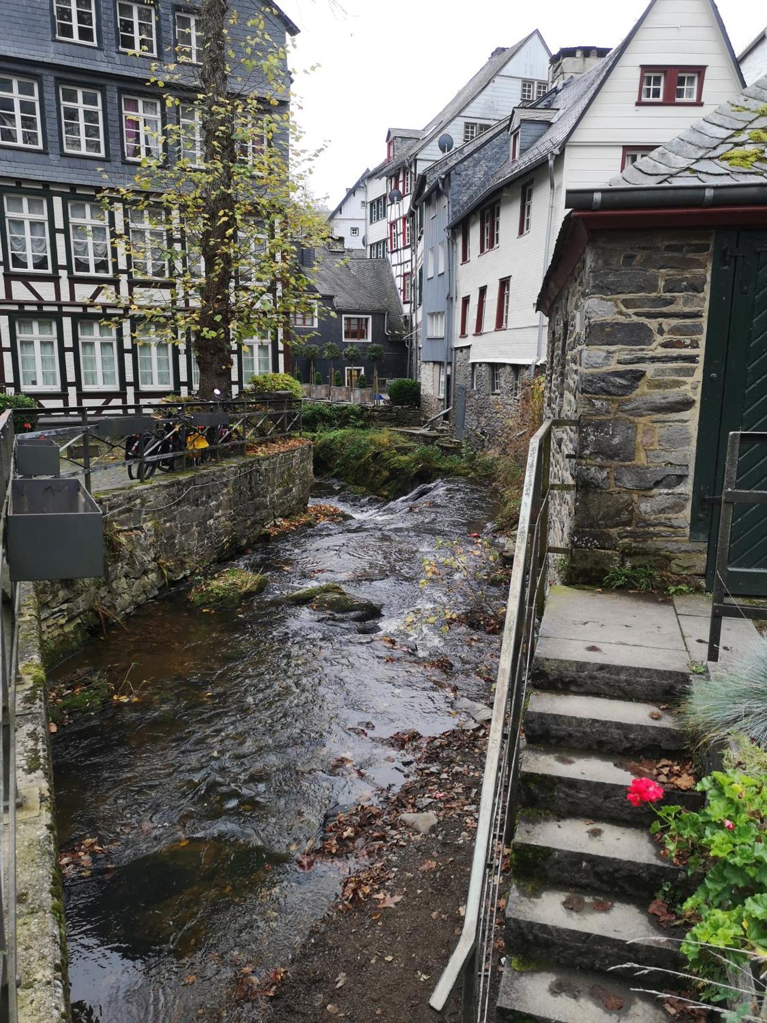 Ferienwohnung In Waldrandlage In Nationalpark Schleiden / Eifel المظهر الخارجي الصورة