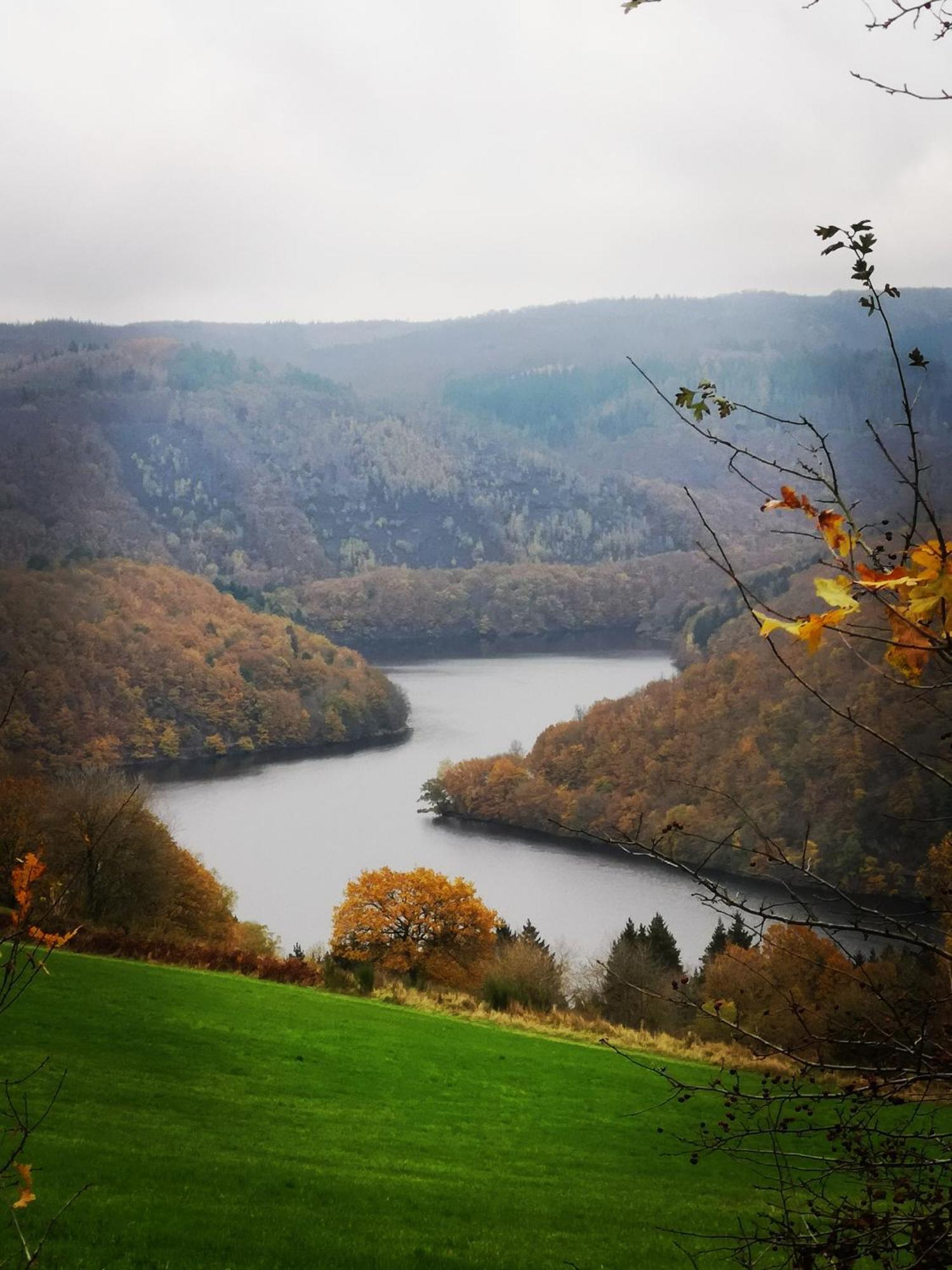 Ferienwohnung In Waldrandlage In Nationalpark Schleiden / Eifel المظهر الخارجي الصورة