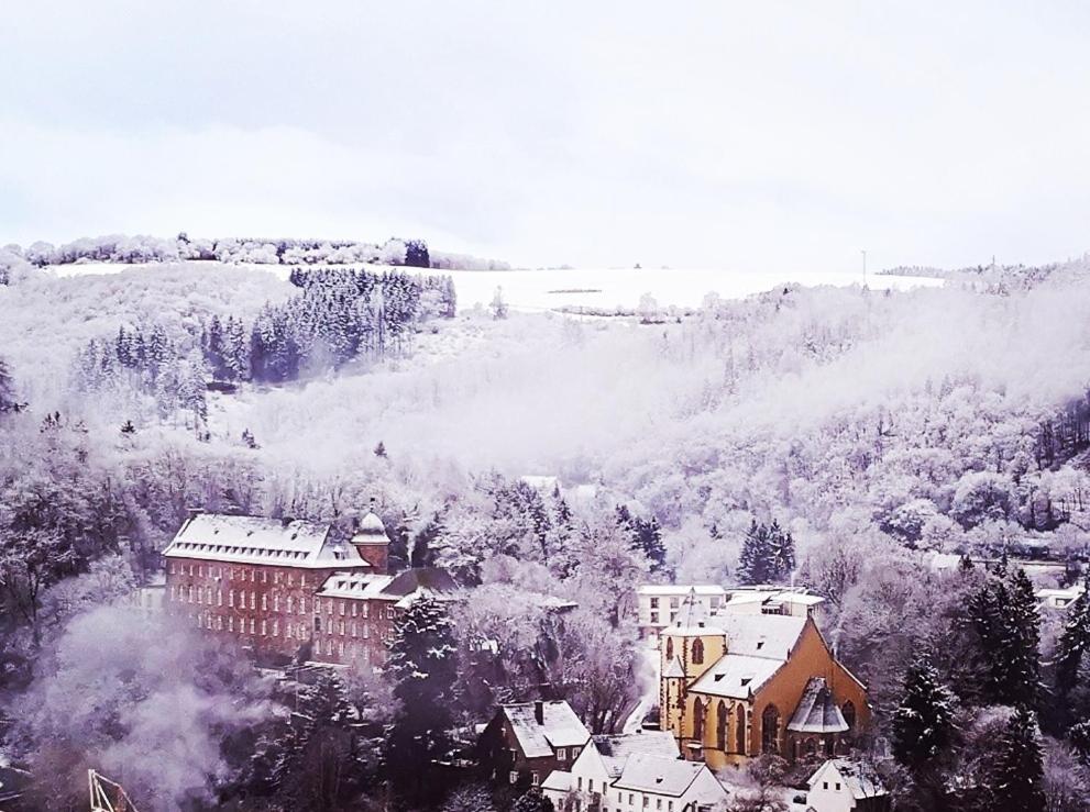 Ferienwohnung In Waldrandlage In Nationalpark Schleiden / Eifel المظهر الخارجي الصورة